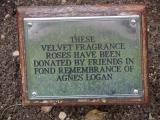 image of grave number 232789